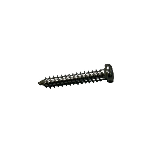 Stainless Steel 304 Philip Screws Self-tapping Screw